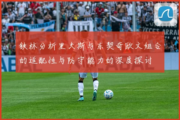 铁林分析里夫斯与东契奇欧文组合的适配性与防守能力的深度探讨